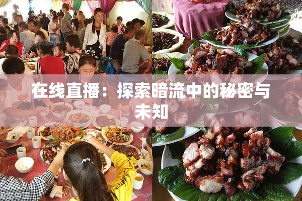 在线直播：探索暗流中的秘密与未知