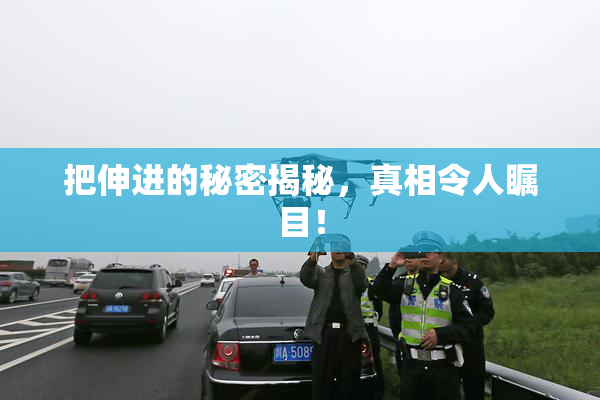 把伸进的秘密揭秘，真相令人瞩目！
