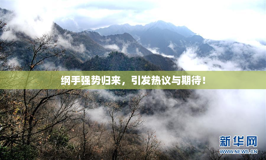 纲手强势归来，引发热议与期待！