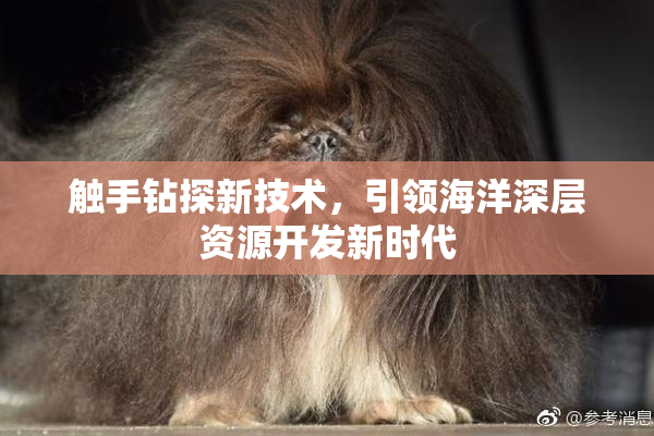 触手钻探新技术，引领海洋深层资源开发新时代