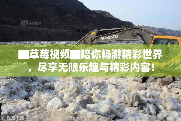 ▇草莓视频▇陪你畅游精彩世界，尽享无限乐趣与精彩内容！