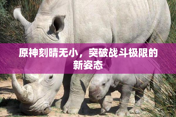 原神刻晴无小，突破战斗极限的新姿态