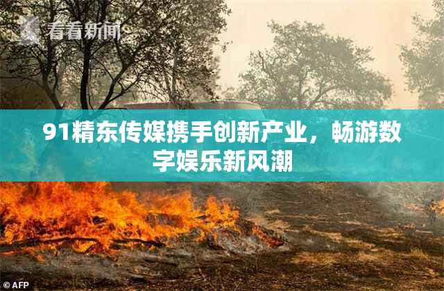 91精东传媒携手创新产业，畅游数字娱乐新风潮