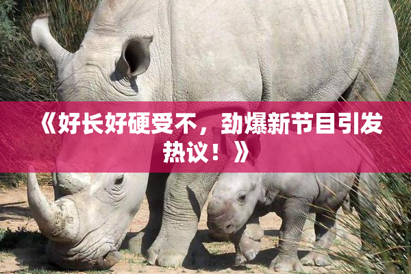 《好长好硬受不，劲爆新节目引发热议！》