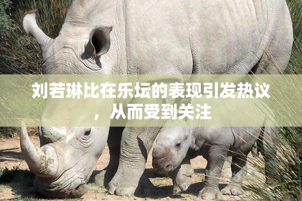 刘若琳比在乐坛的表现引发热议，从而受到关注