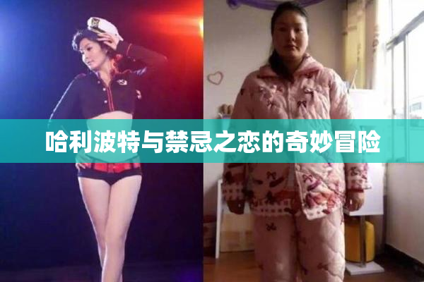 哈利波特与禁忌之恋的奇妙冒险