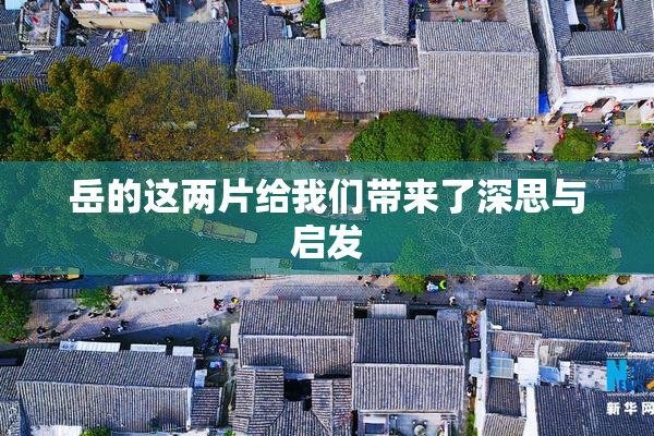 岳的这两片给我们带来了深思与启发