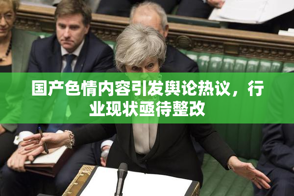国产色情内容引发舆论热议，行业现状亟待整改