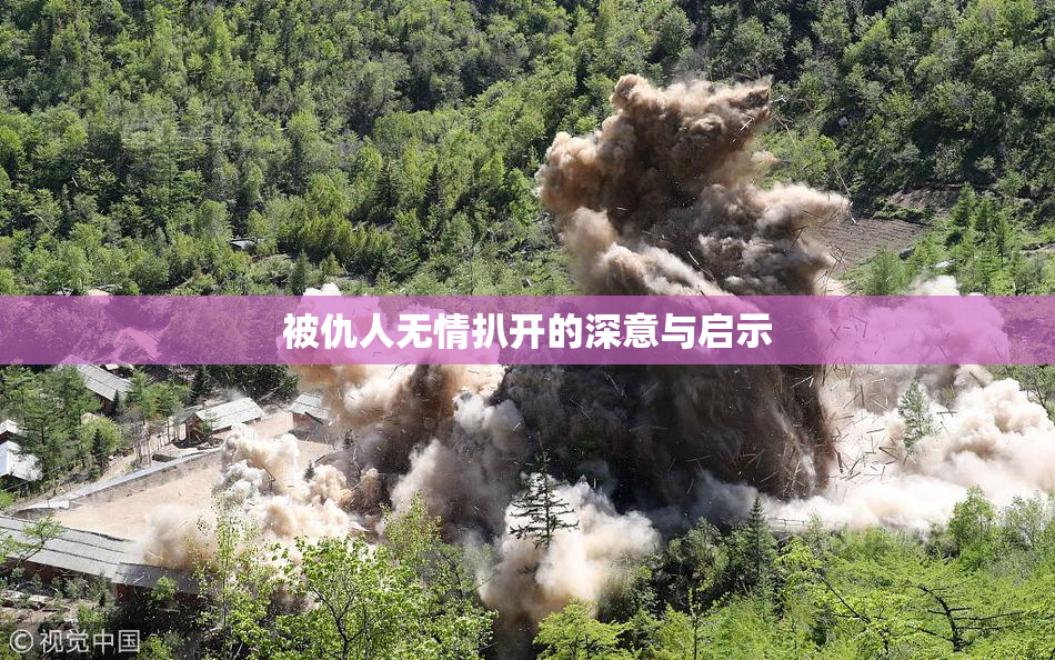 被仇人无情扒开的深意与启示