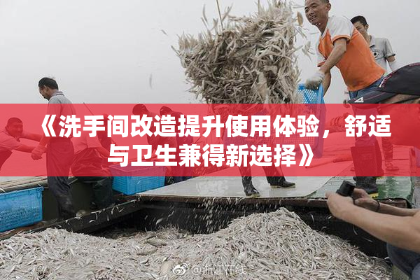 《洗手间改造提升使用体验，舒适与卫生兼得新选择》