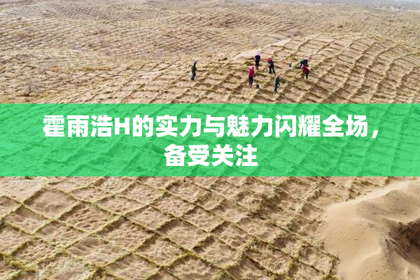 霍雨浩H的实力与魅力闪耀全场，备受关注