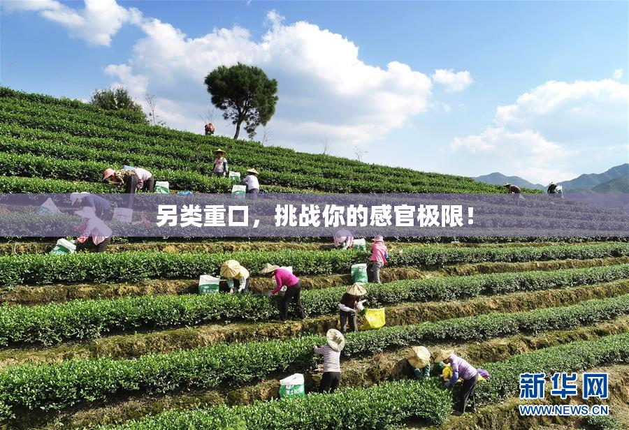 另类重口，挑战你的感官极限！
