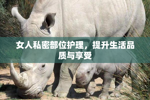女人私密部位护理，提升生活品质与享受
