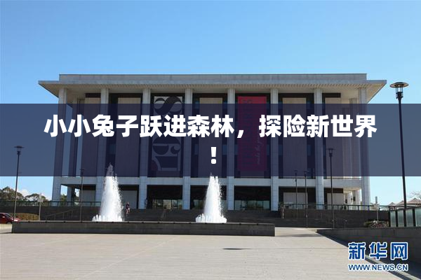 小小兔子跃进森林，探险新世界！