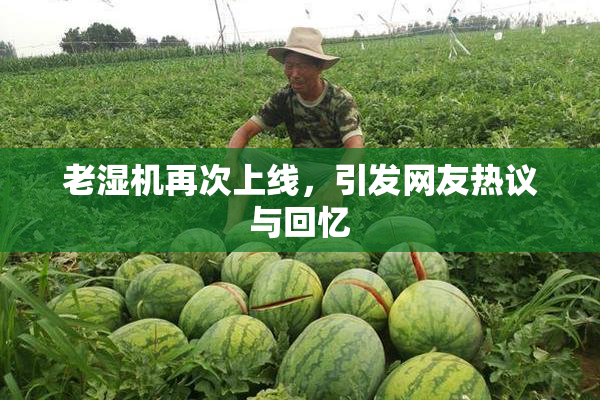 老湿机再次上线，引发网友热议与回忆