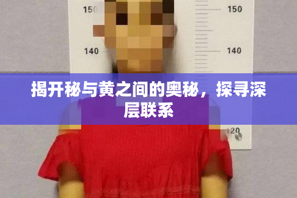 揭开秘与黄之间的奥秘，探寻深层联系