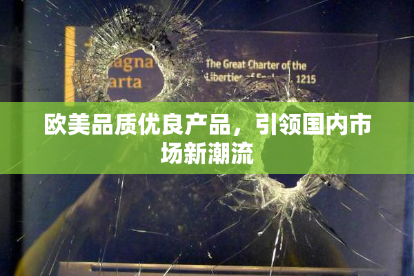 欧美品质优良产品，引领国内市场新潮流
