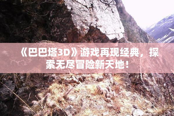 《巴巴塔3D》游戏再现经典，探索无尽冒险新天地！