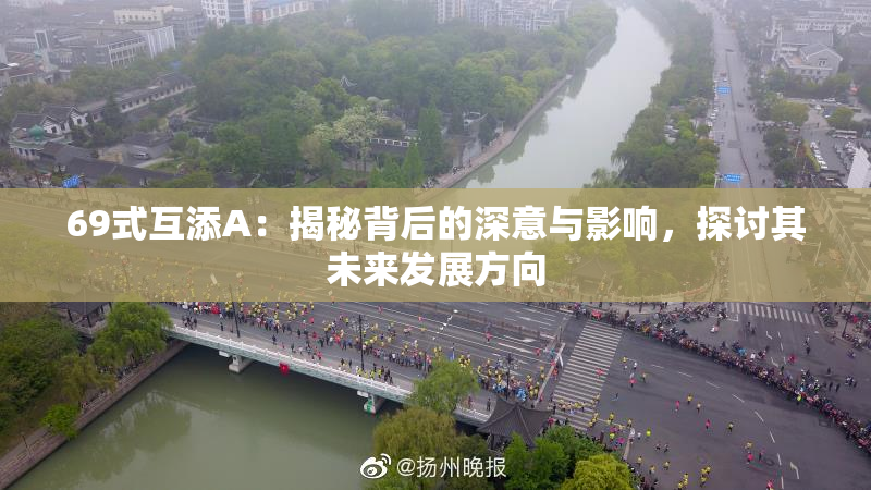 69式互添A：揭秘背后的深意与影响，探讨其未来发展方向