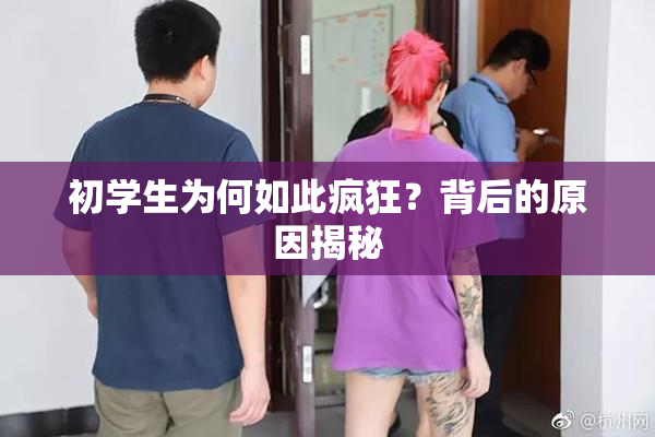 初学生为何如此疯狂？背后的原因揭秘