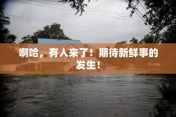 啊哈，有人来了！期待新鲜事的发生！