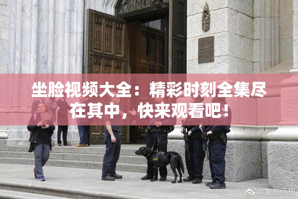 坐脸视频大全：精彩时刻全集尽在其中，快来观看吧！