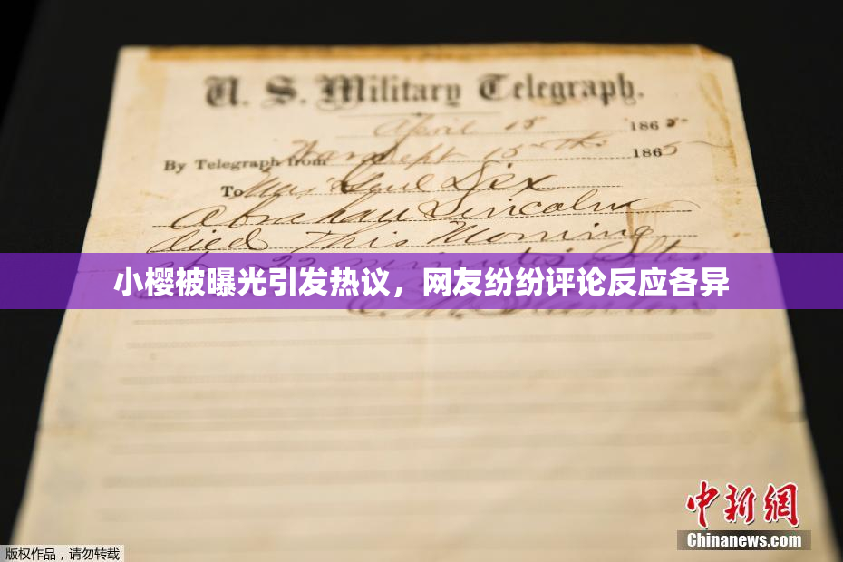 小樱被曝光引发热议，网友纷纷评论反应各异
