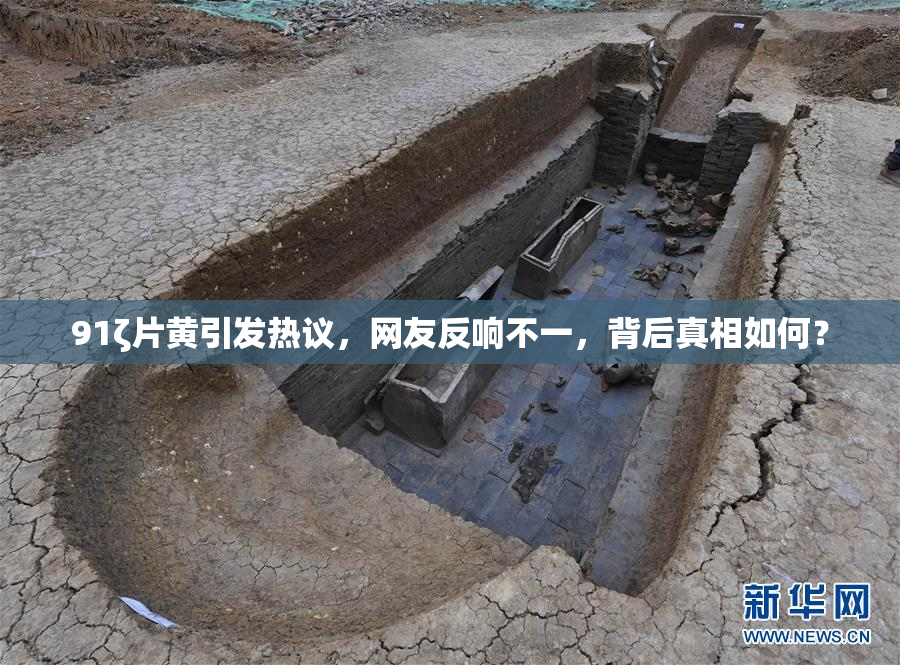 91ζ片黄引发热议，网友反响不一，背后真相如何？