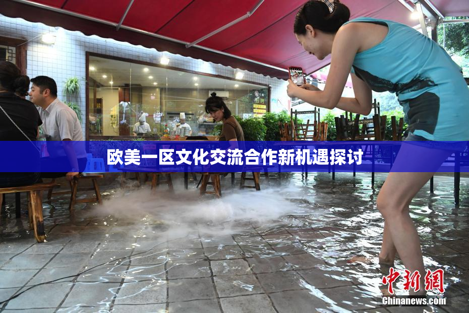 欧美一区文化交流合作新机遇探讨