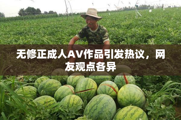无修正成人AV作品引发热议，网友观点各异