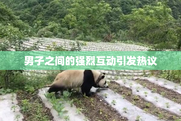 男子之间的强烈互动引发热议