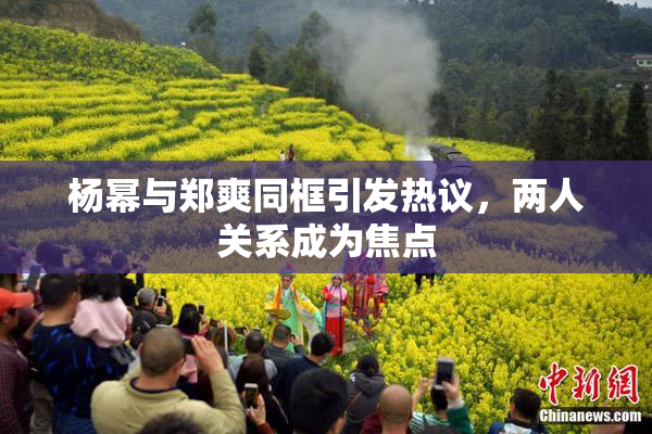 杨幂与郑爽同框引发热议，两人关系成为焦点