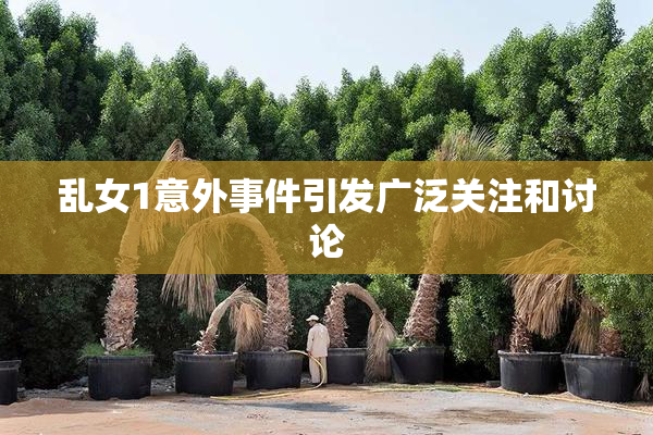乱女1意外事件引发广泛关注和讨论