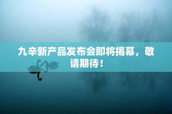 九辛新产品发布会即将揭幕，敬请期待！
