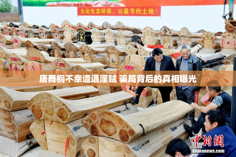 唐舞桐不幸遭遇淫贼 骗局背后的真相曝光
