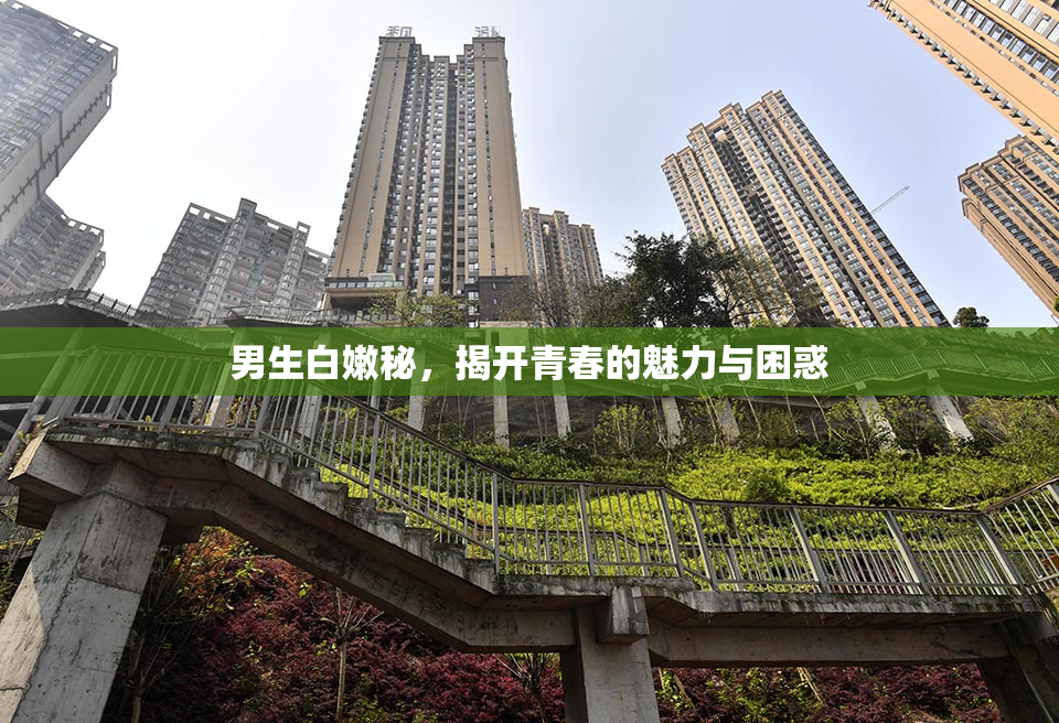男生白嫩秘，揭开青春的魅力与困惑