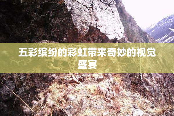 五彩缤纷的彩虹带来奇妙的视觉盛宴