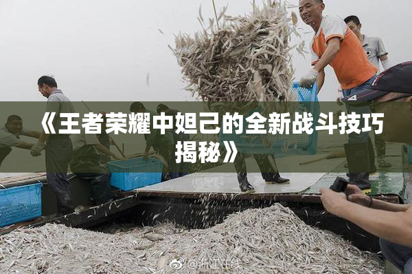 《王者荣耀中妲己的全新战斗技巧揭秘》
