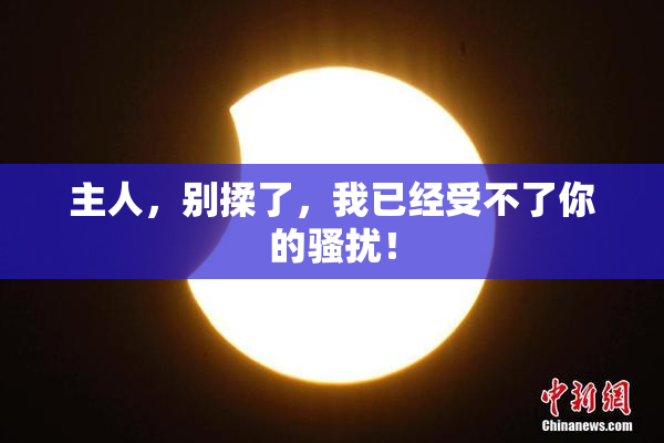 主人，别揉了，我已经受不了你的骚扰！
