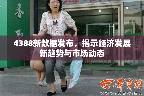 4388新数据发布，揭示经济发展新趋势与市场动态