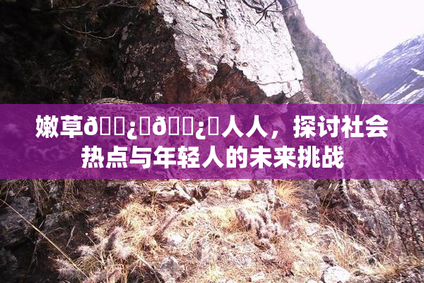 嫩草🌿‌🌿‌人人，探讨社会热点与年轻人的未来挑战