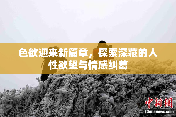 色欲迎来新篇章，探索深藏的人性欲望与情感纠葛