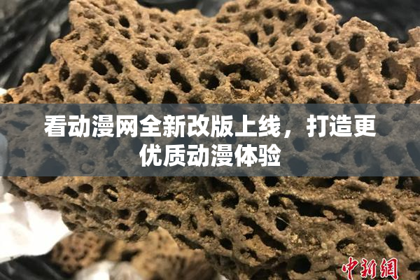 看动漫网全新改版上线，打造更优质动漫体验