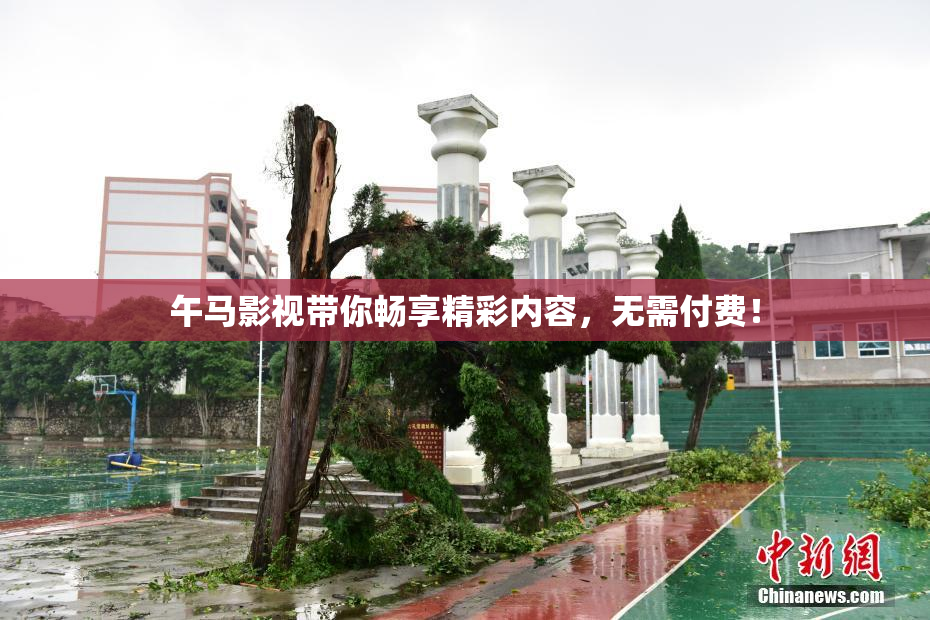 午马影视带你畅享精彩内容，无需付费！