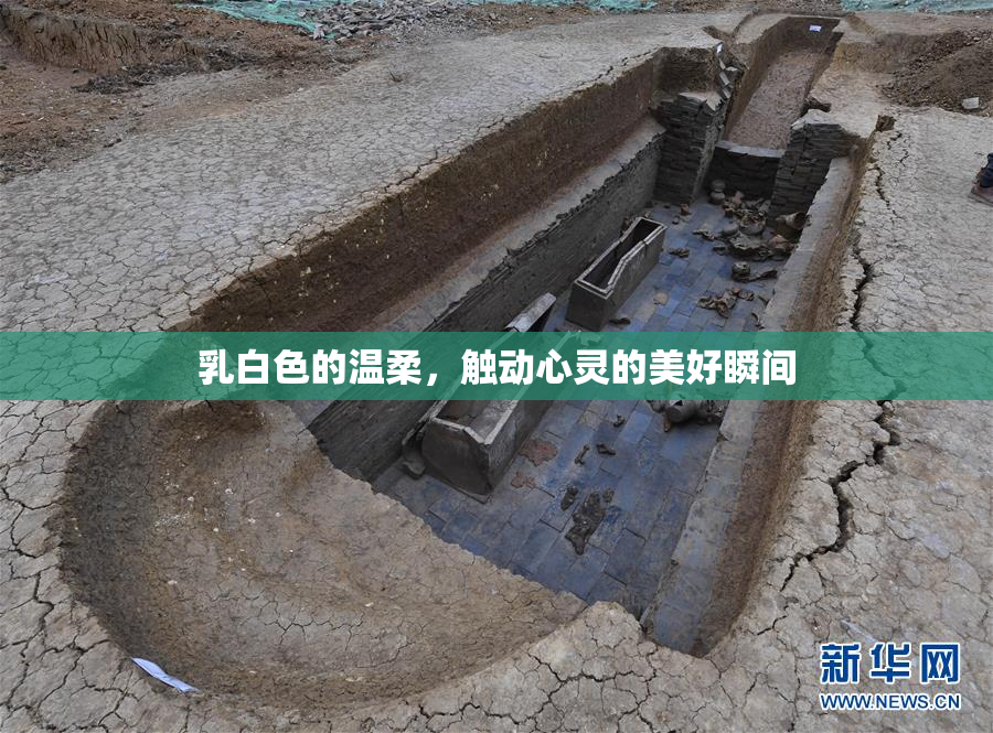 乳白色的温柔，触动心灵的美好瞬间
