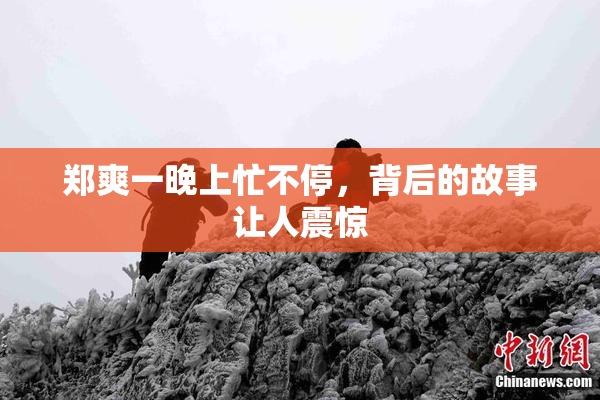 郑爽一晚上忙不停，背后的故事让人震惊