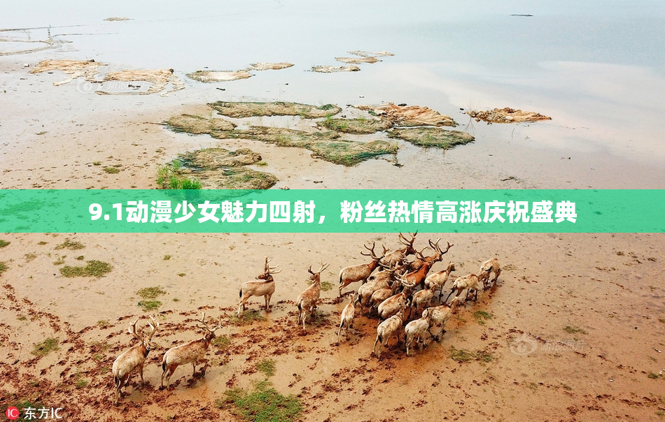9.1动漫少女魅力四射，粉丝热情高涨庆祝盛典