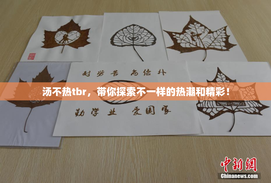 汤不热tbr，带你探索不一样的热潮和精彩！