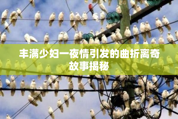 丰满少妇一夜情引发的曲折离奇故事揭秘