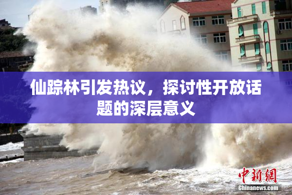 仙踪林引发热议，探讨性开放话题的深层意义